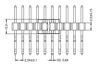 PZ254-2-05-WS