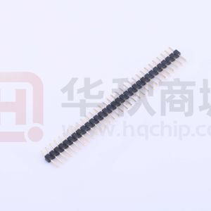 X4611WV-31I-C28D40